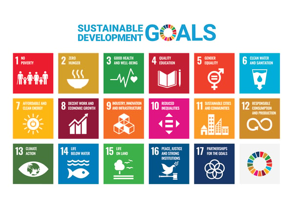 SDG Poster 17 Sustainable Development Goals